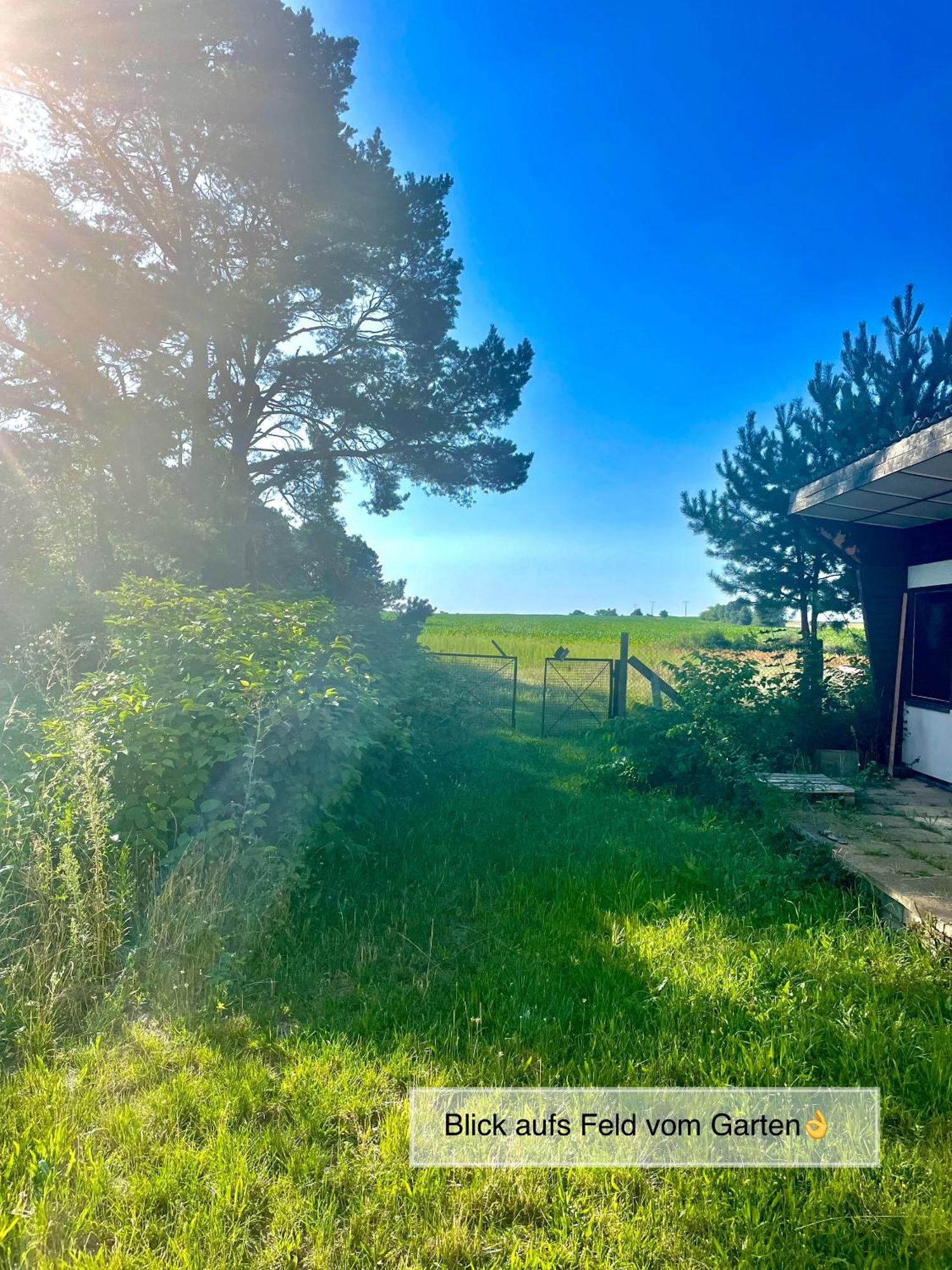 Modernes Ferienhaus Mit 3 Schlafzimmern In Der Naehe Vom Scharmuetzelsee Wendisch Rietz Kültér fotó